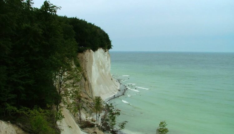 Rügender Kreidefelsen
